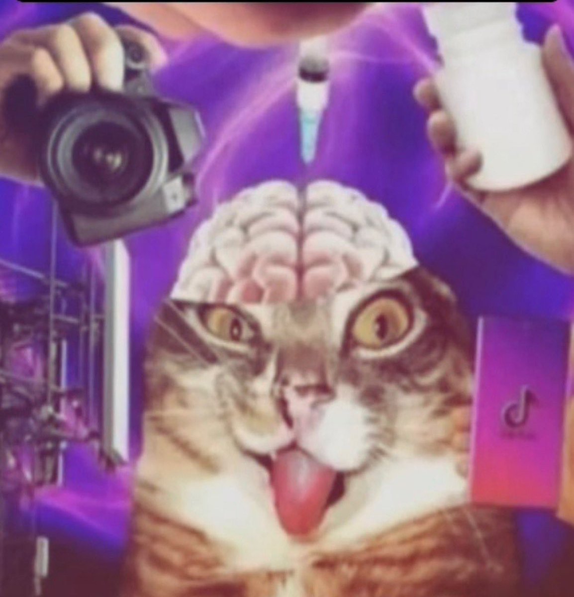 Plathcoded's tweet image. Multitasking yapmaktan bizim durum