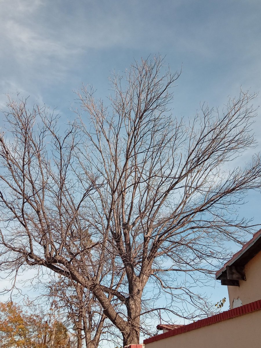 pARk_chimMYBb's tweet image. Bonito♡