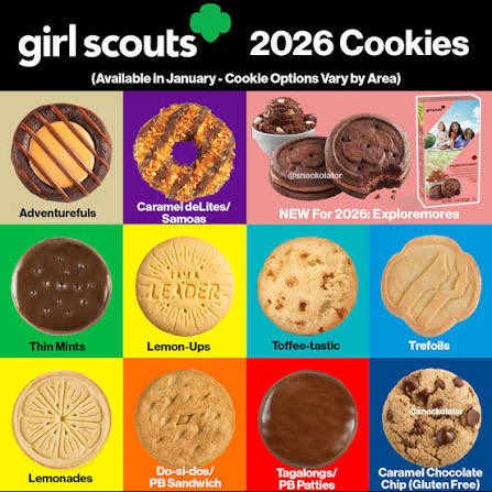 Mallory - Reading Teacher 🍎📚 tweet media