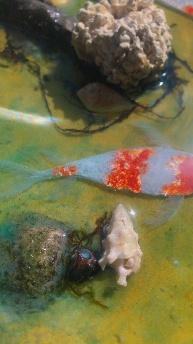 OlynArtist's tweet photo. I felt my work was done when I saw the sun reflecting off the ‘water’ and gills 😍 I can feel the warmth off this picture. 
AI could never!! https://t.co/Y72L9HgDuM