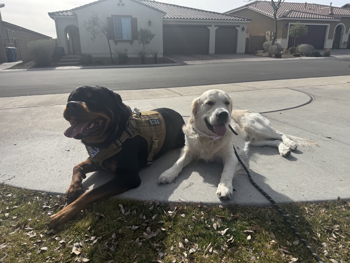 JustinAtLaw tweet media