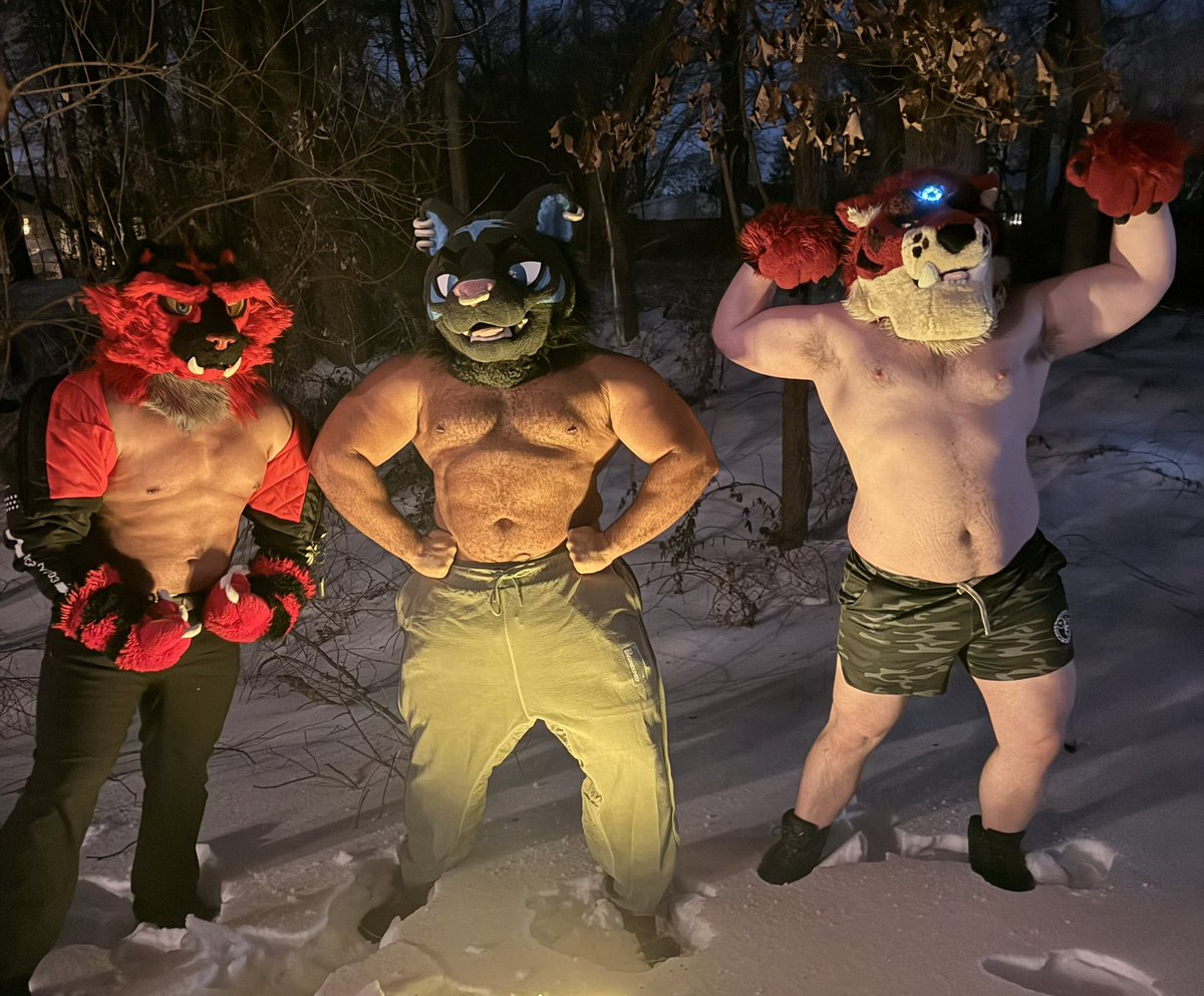 Kyle the Tiger tweet media