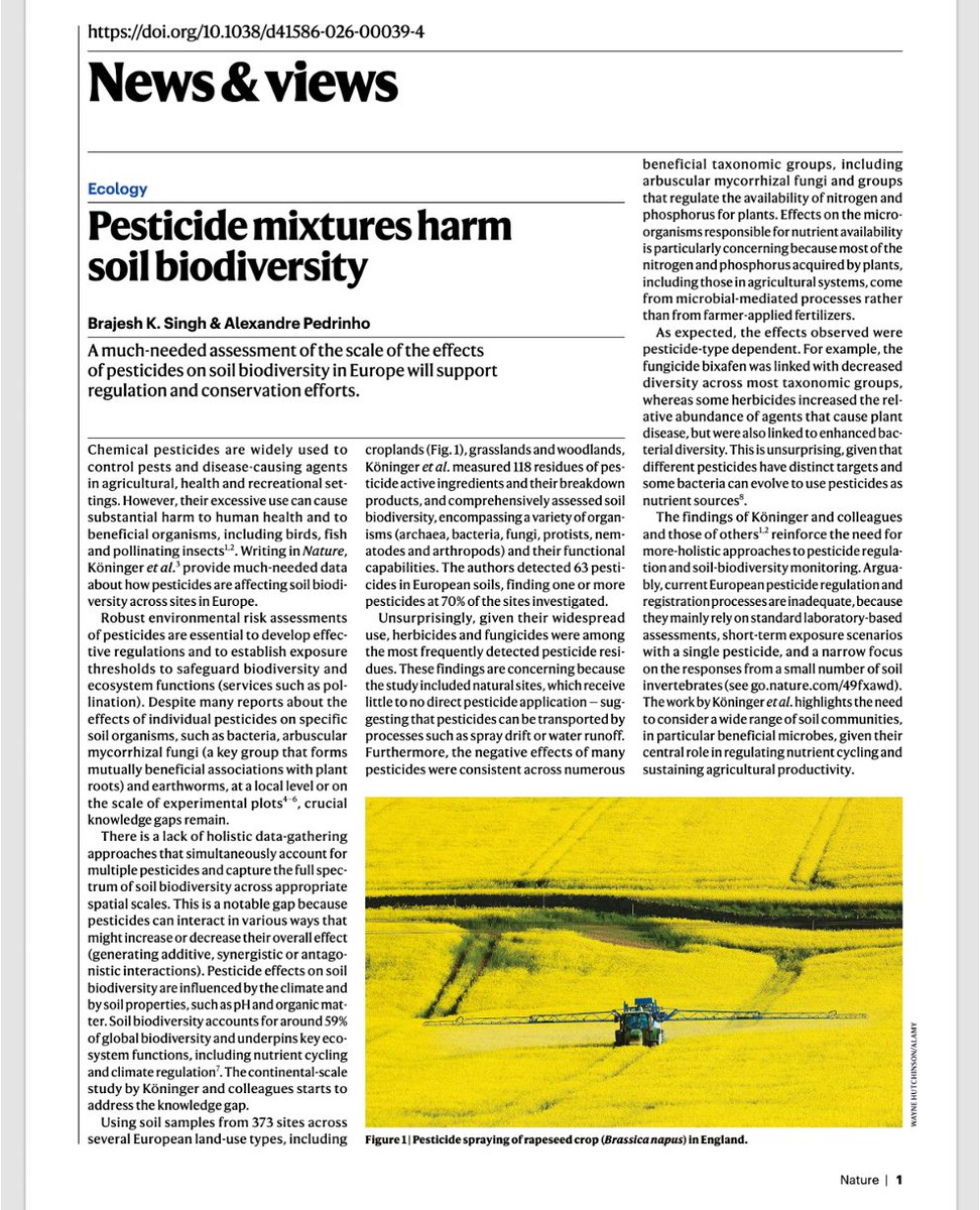 Prof Brajesh Singh tweet media