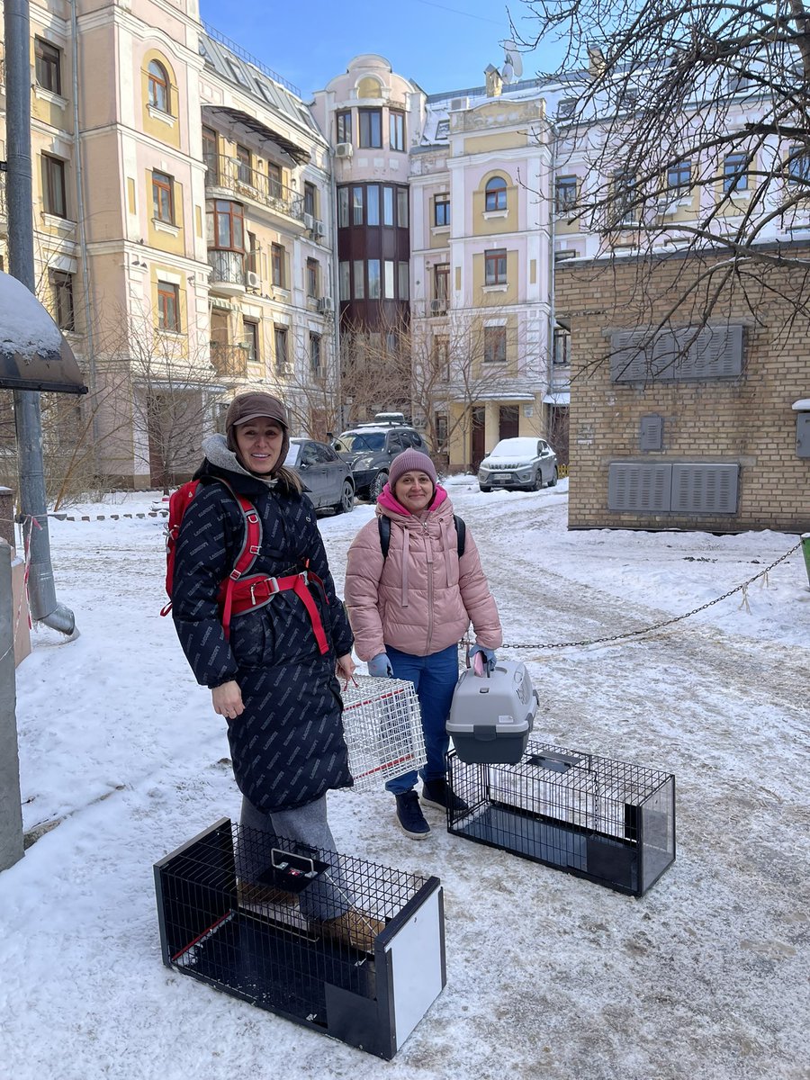 irena_druzenko's tweet image. ПОТРІБНА HELP АВТОДОПОМОГА
❤️поширте 

Ми видали все обладнання для вилову пані @Bluepained і вона вже 2 киць зловила і відвезла на перетримку але там ще 3.

Їдуть страшні холоди, на завтра потрібна авто допомога поїхати допомогти, відвезти з котиками в лікарню, потім на…