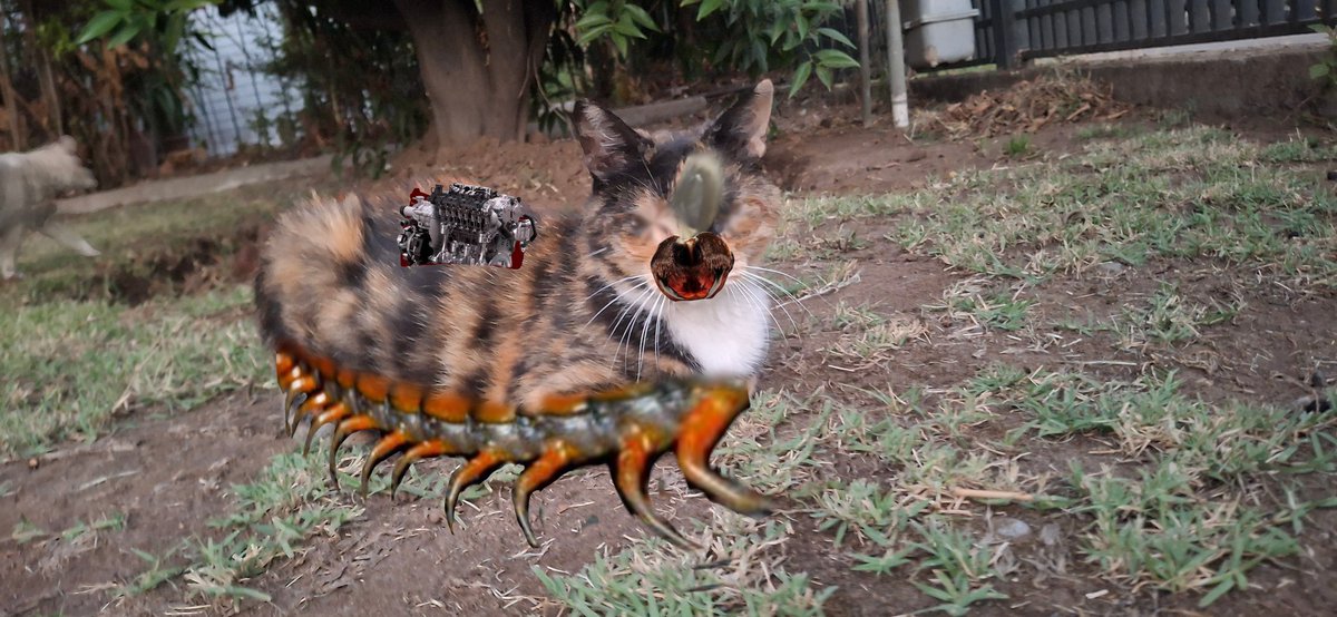 dack fan n°1 tweet media