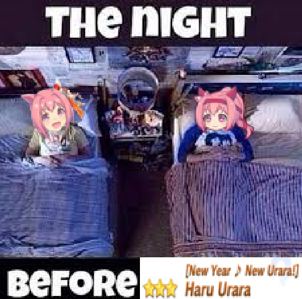 🌸Haru Urara🌸 tweet media