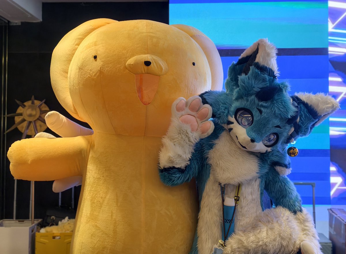 I am Pi ➡️ lifc2026 tweet media