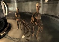 parkr4prezident's tweet image. When u visit a White persons House