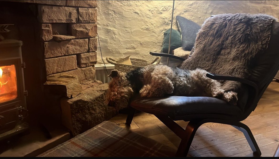 The wee man’s health hasn’t been great these past few weeks and he passed away yesterday evening. Terrible sadness here in Hightae - we’re missing him loads. 💔