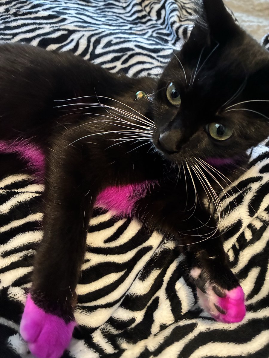 Elver Galarga tweet media