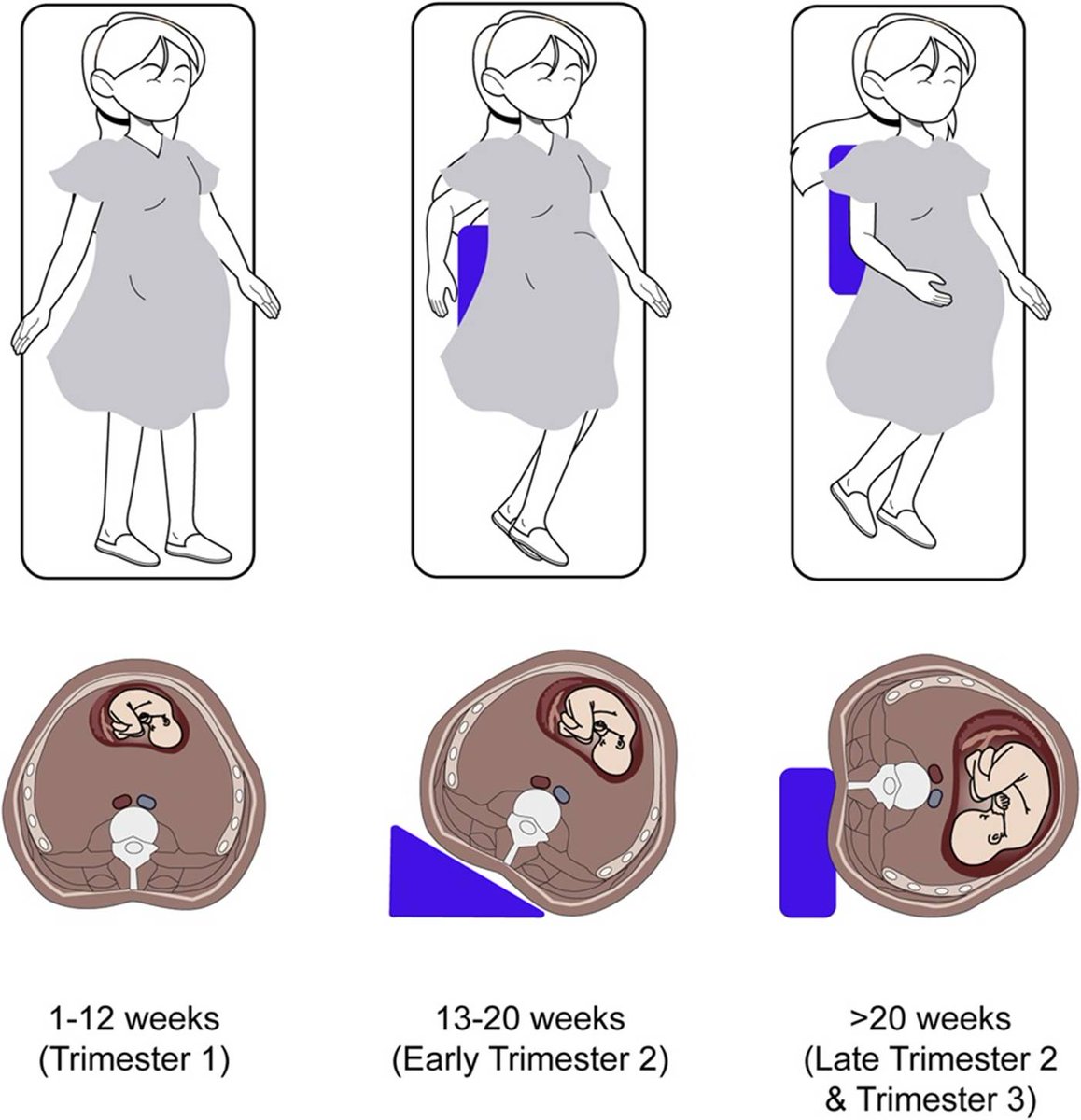 AJG - The American Journal of Gastroenterology tweet media