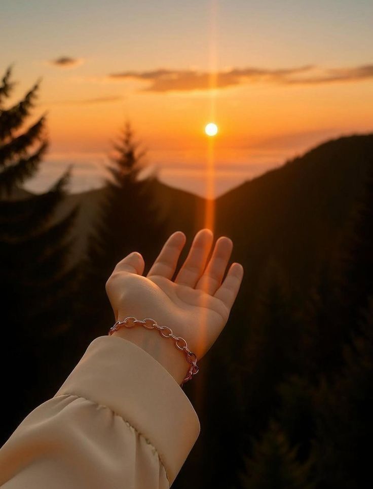 Good morning friends 💫🌞

Have a nice day 🌞