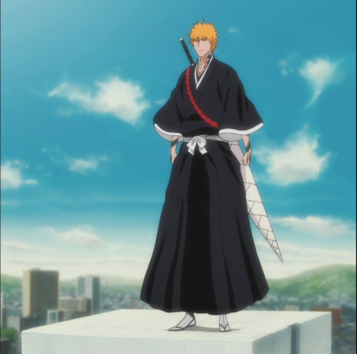 After 366 episodes [minus 45% filler] I can conclude that the real Bleach was the friends we made along the way.