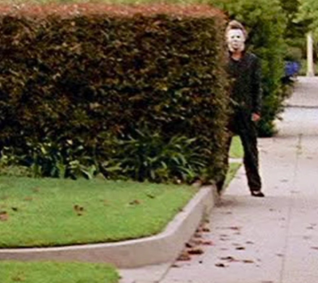 como m siento cuando por accidente veo una historia q subieron hace segundos