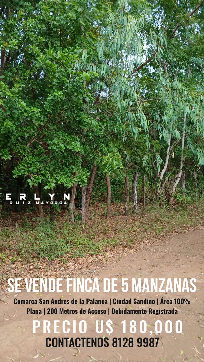 EventosPlan's tweet image. 