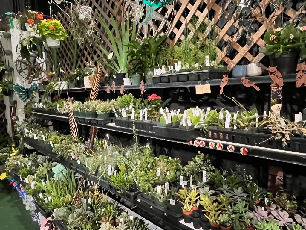 CTFlowerGarden's tweet photo. 3 weeks until the 2026 @CTFlowerGarden Show opens its doors on Thursday, Jan. 19 at 10 a.m. at the @ctconventionctr in Downtown Hartford! Colorful-fragrant-Spring! Discounted online admission tickets and all Show info now at https://t.co/034UtEJ3yx   #Springiscoming https://t.co/WUiKWedBl7