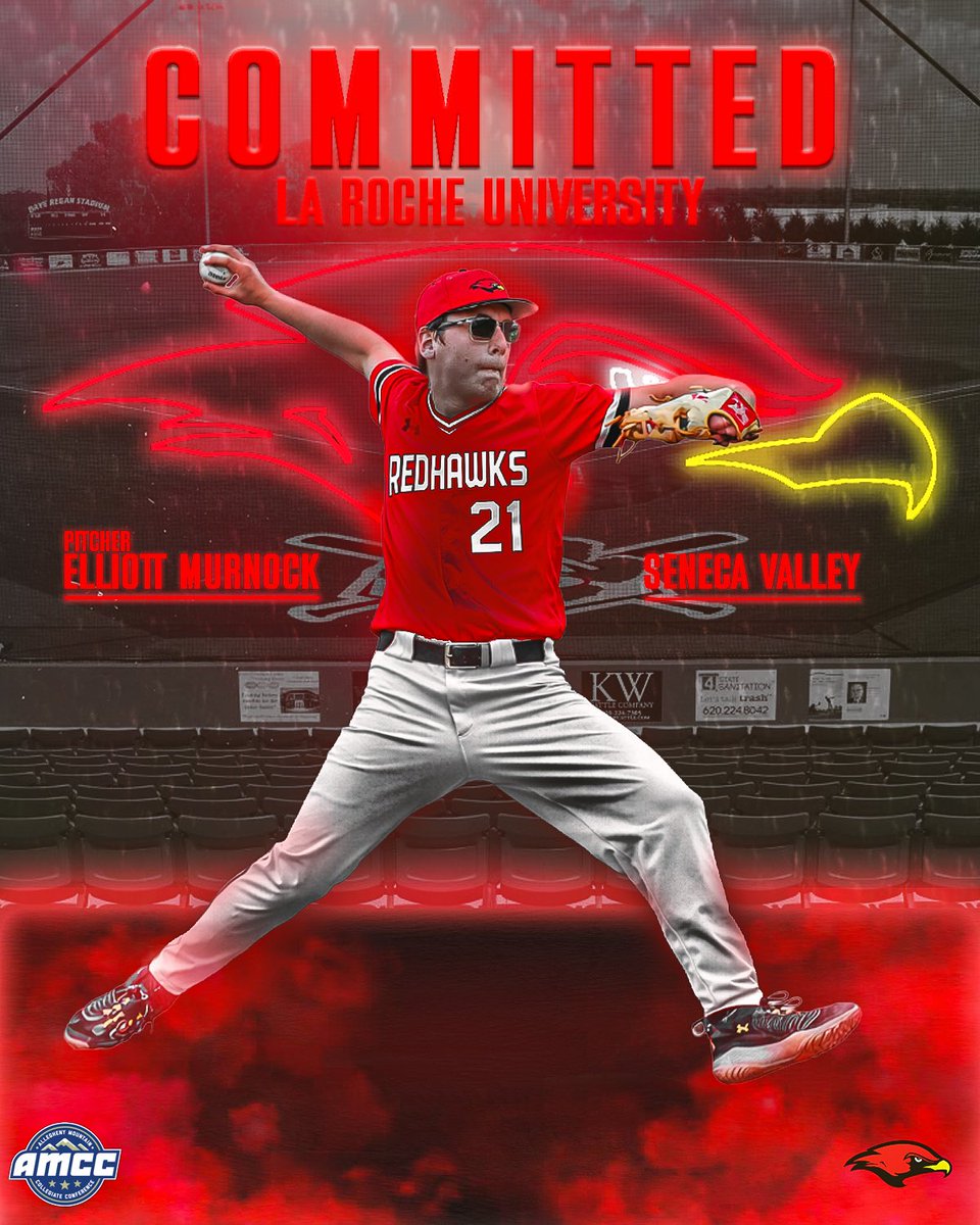 SV Raiders Baseball tweet media