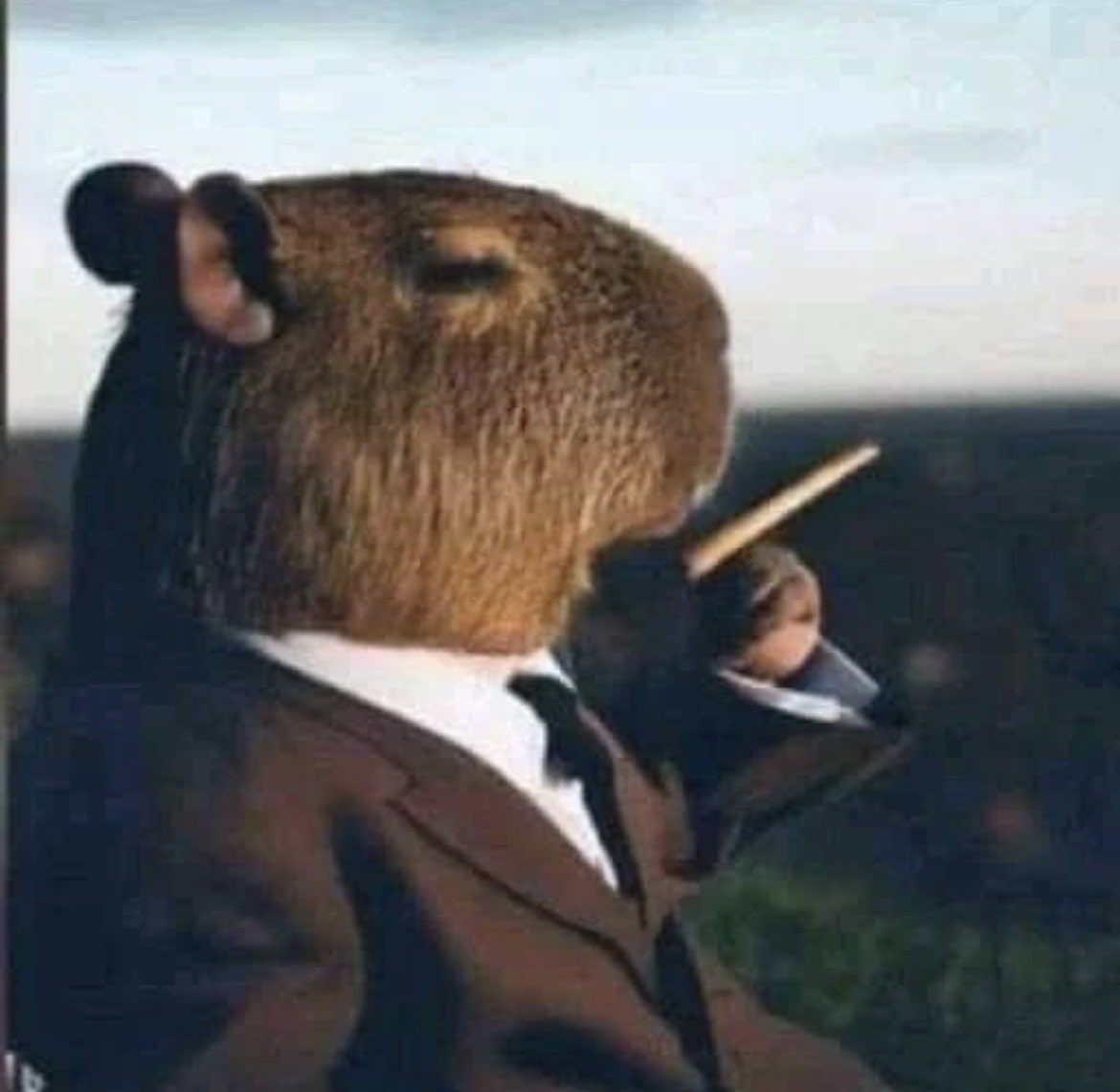 5am saturday morning watching sunrise

few