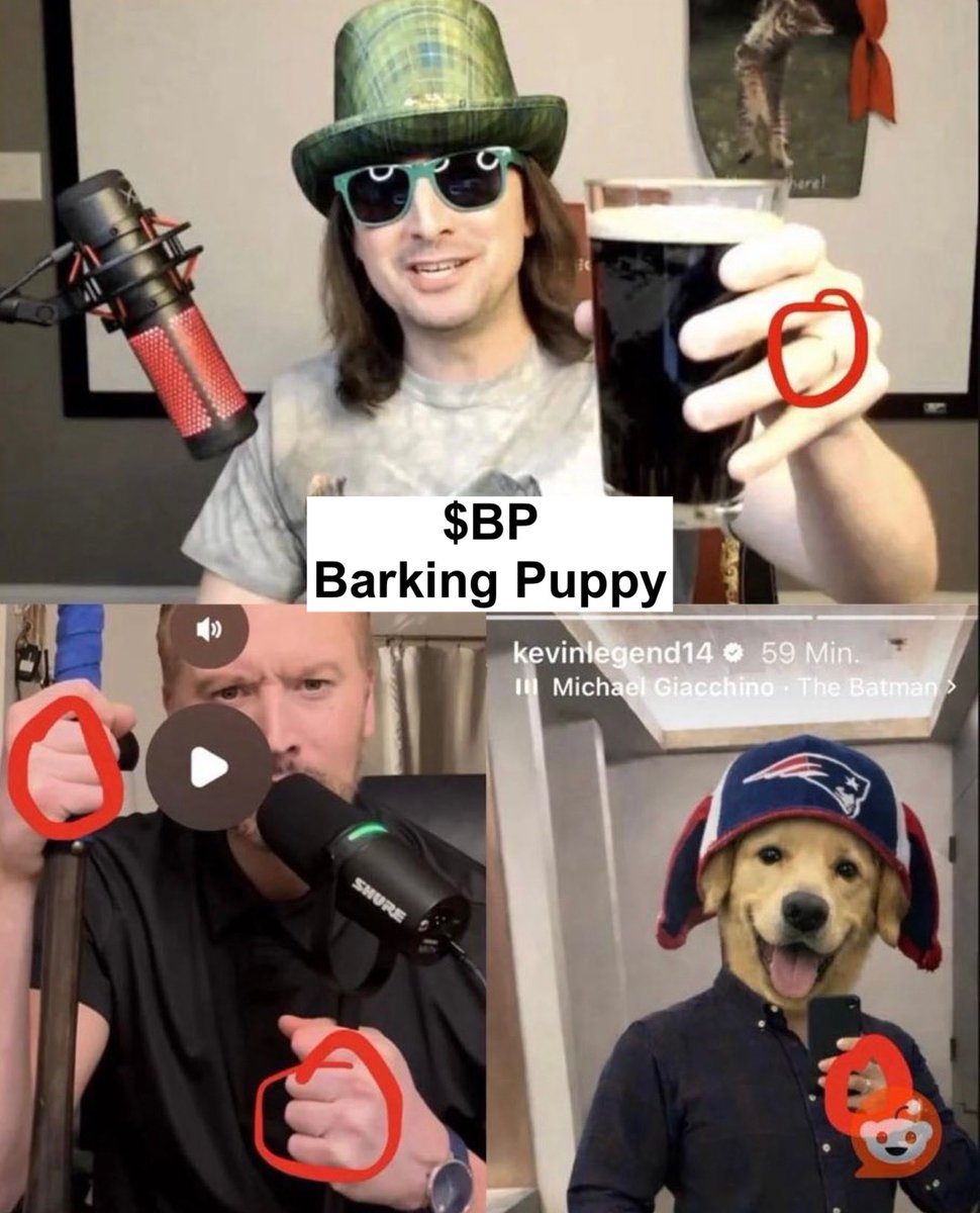 so, $GME early buyers talking about $BP

<a href="/TheRoaringKitty/">Roaring Kitty</a> to follow <a href="/BPuppy80020/">Barking Puppy</a> to announce his 2026 comeback

$BP is the play

Launched by the Gill brothers.

all proofs and confirmations below in the comments

3B1ijcocM5EDga6XxQ7JLW7weocQPWWjuhBYG8Vepump