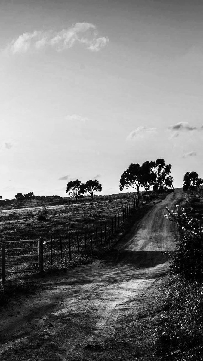 ๐๐๐๐ฌ๐จ๐ง. tweet media