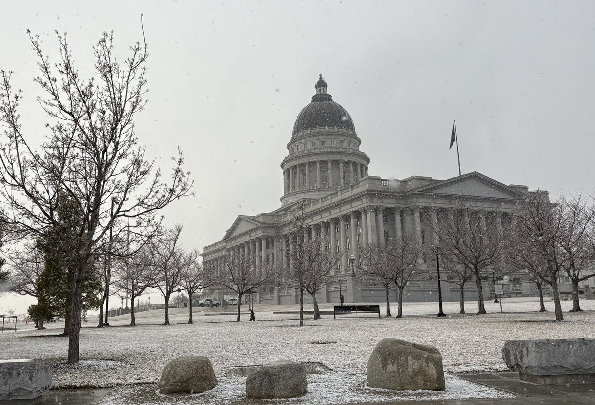 Michael Mower tweet media