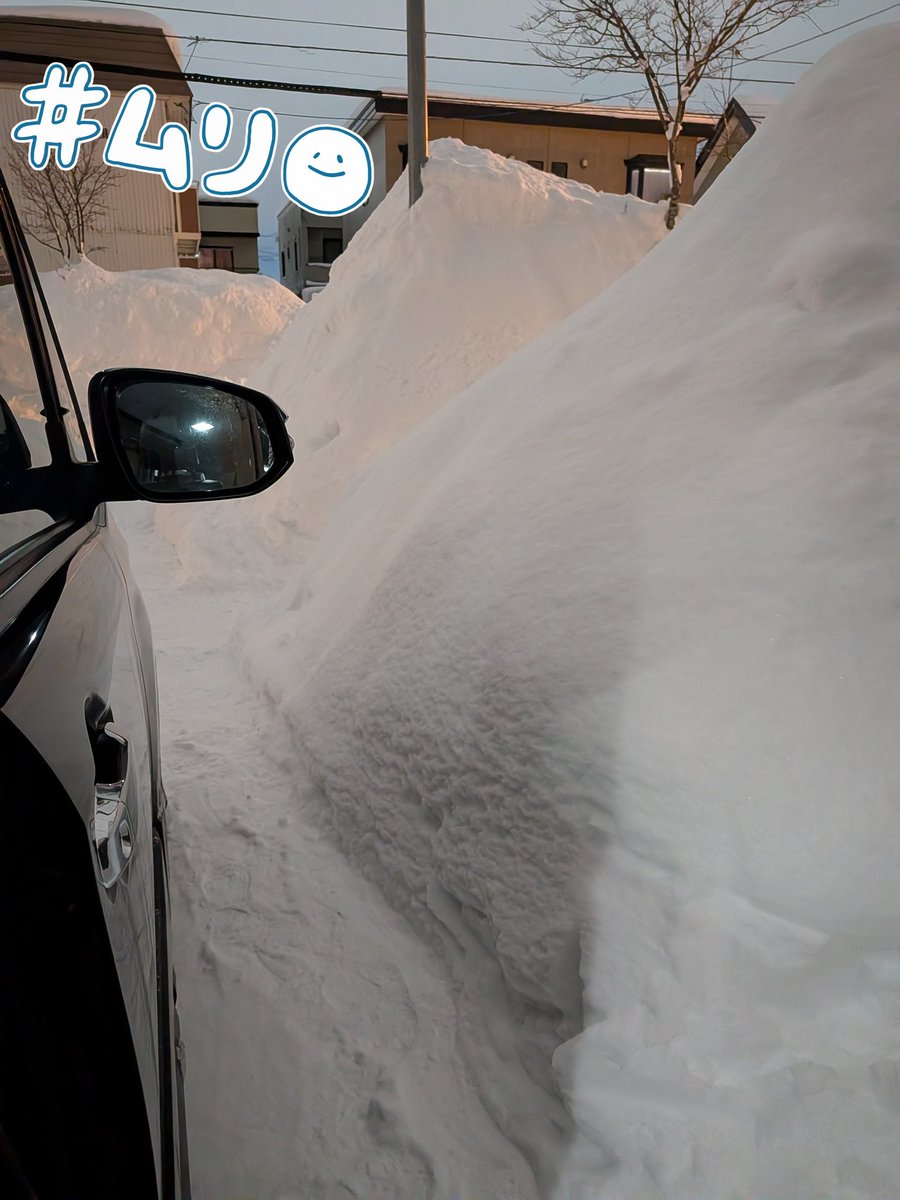ねー꙳⸌(ᵒ͈̑ᴗ̂ᵒ͈̑ )
雪にうめられそうなんだけど。