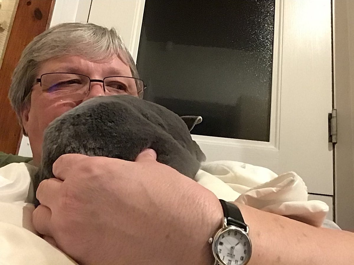 Ben has had his six monthly check up and all is well. Weight a steady 2.1kg, heart, teeth, guts all good. Enjoying his nightly massage after his medications. Happy days!