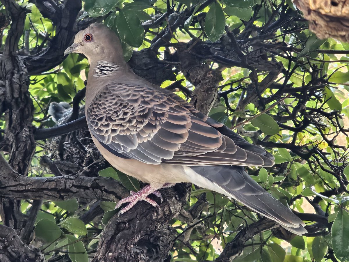 素敵な水滴💧 (@2BpWy9dQpGMA2g9) / Posts / X