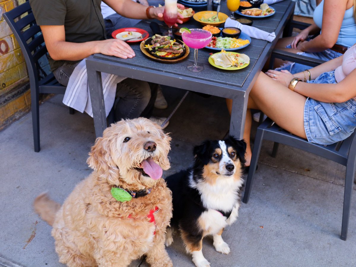 Cien Agaves tweet media