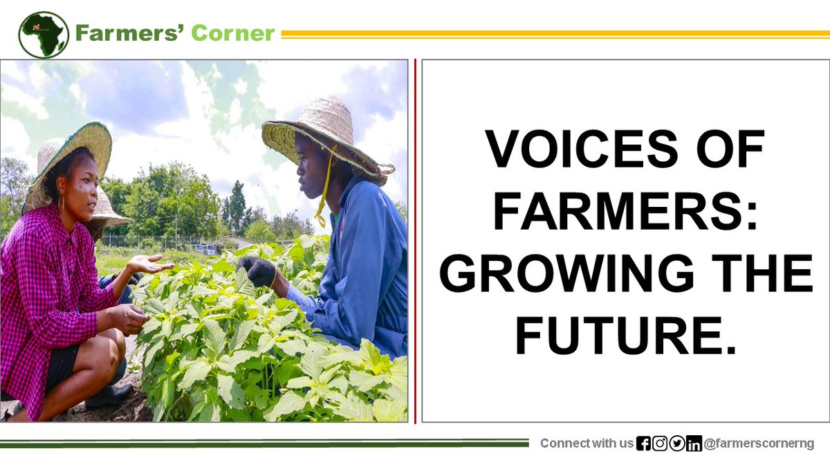 🚜Farmers' voices matter! 89% say listen to us! They're innovators, entrepreneurs and stewards facing climate change, resource gaps and market volatility. Let's amplify their voices and shape a brighter future for agriculture! #VoicesOfFarmers #GrowingTheFuture #FarmersCornerNG