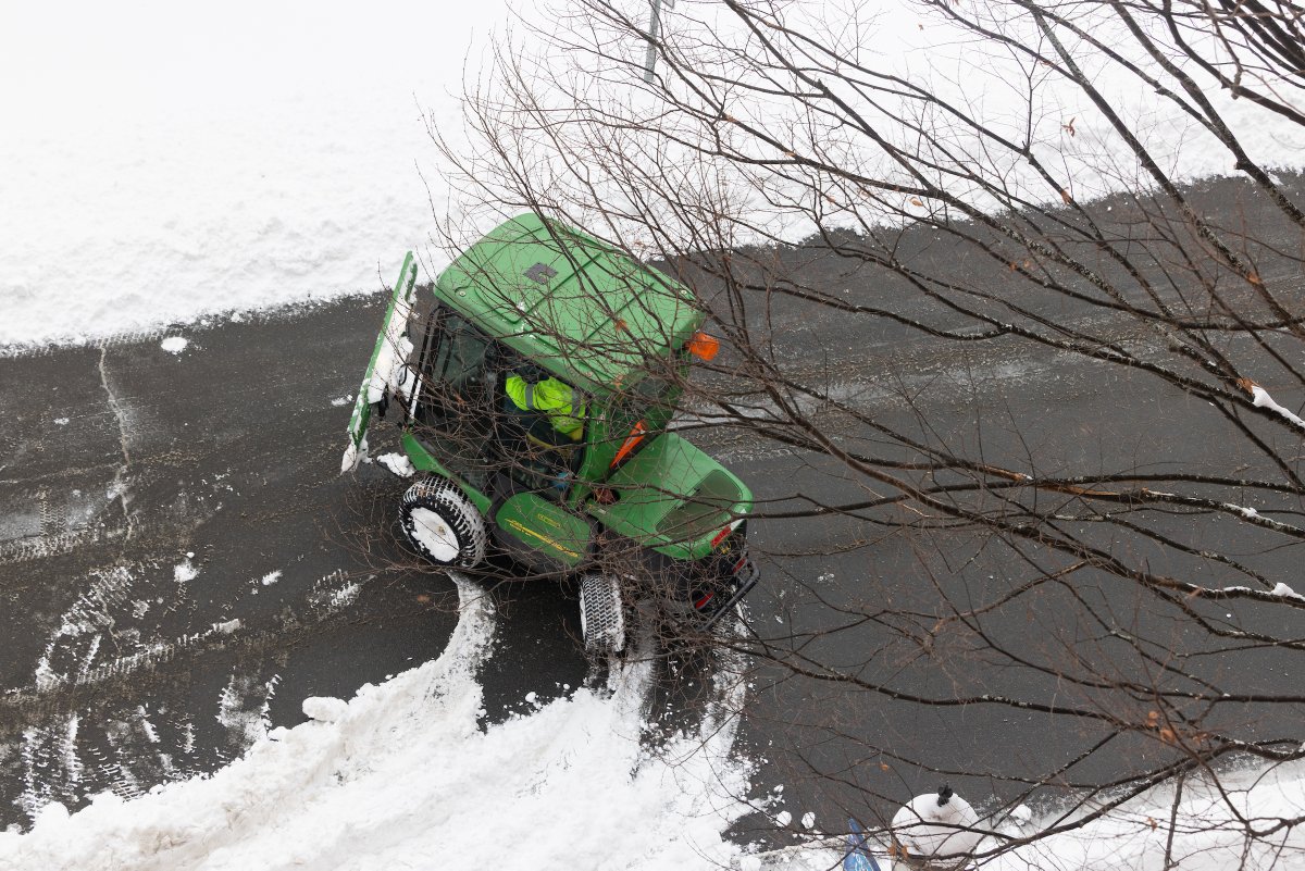 Dr. Sandra Bulmer tweet media