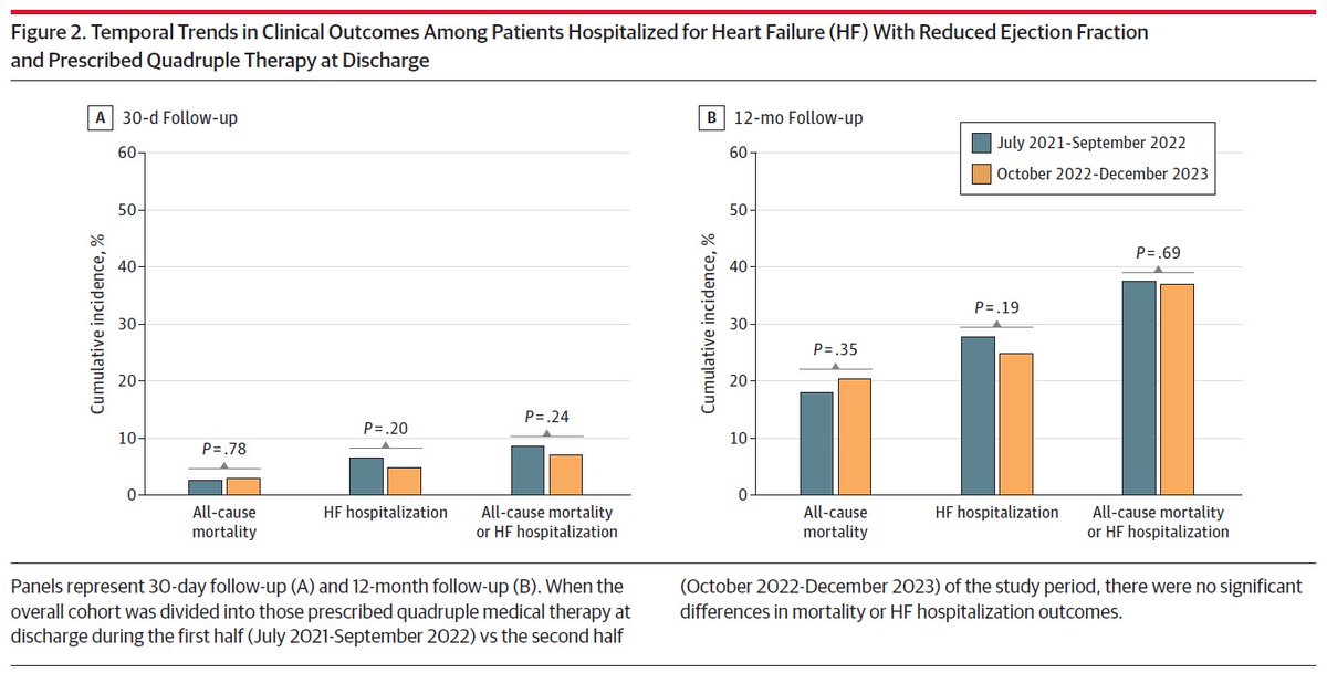 Steve Greene tweet media