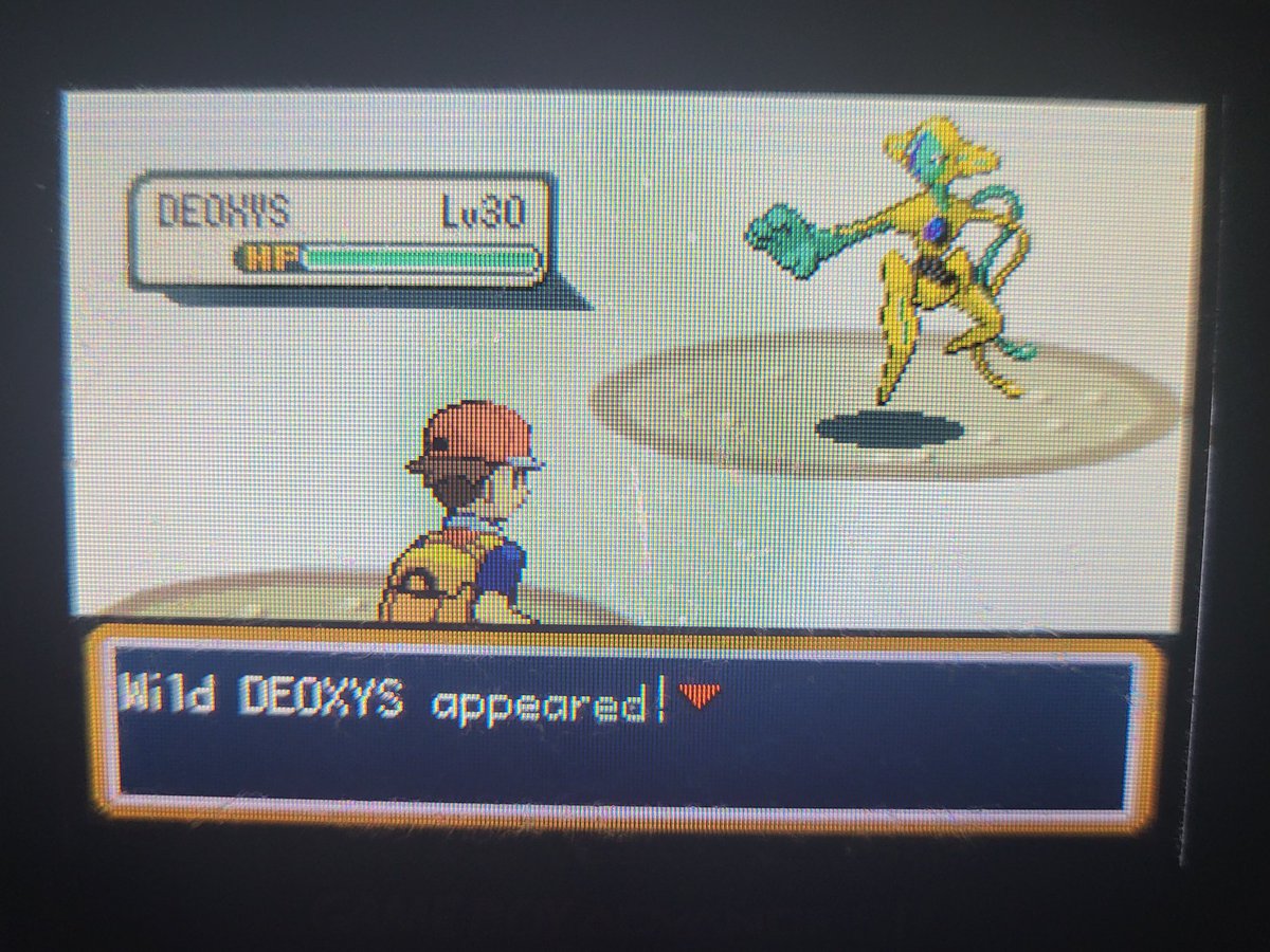 Goldenruffy tweet media