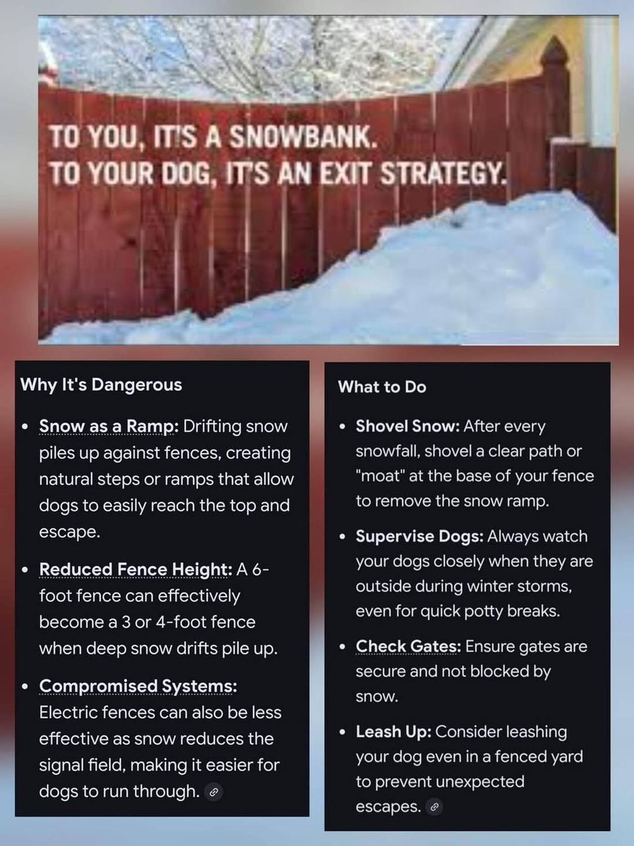 Alert from Burrillville Shelter:
Snow banks make for poor visibility when traveling
Escaped pets &amp; wildlife will be more likely to use roadways for easier travel and come into roads from behind snowbanks, increasing risk of vehicle/animal collisions
buff.ly/xxMM9mU #RI