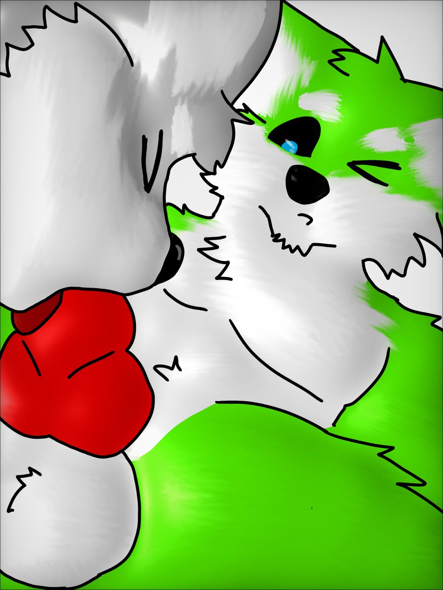 🐺 Shane 🔞 tweet media