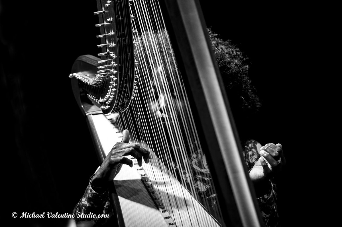 Michael Valentine Studio tweet media