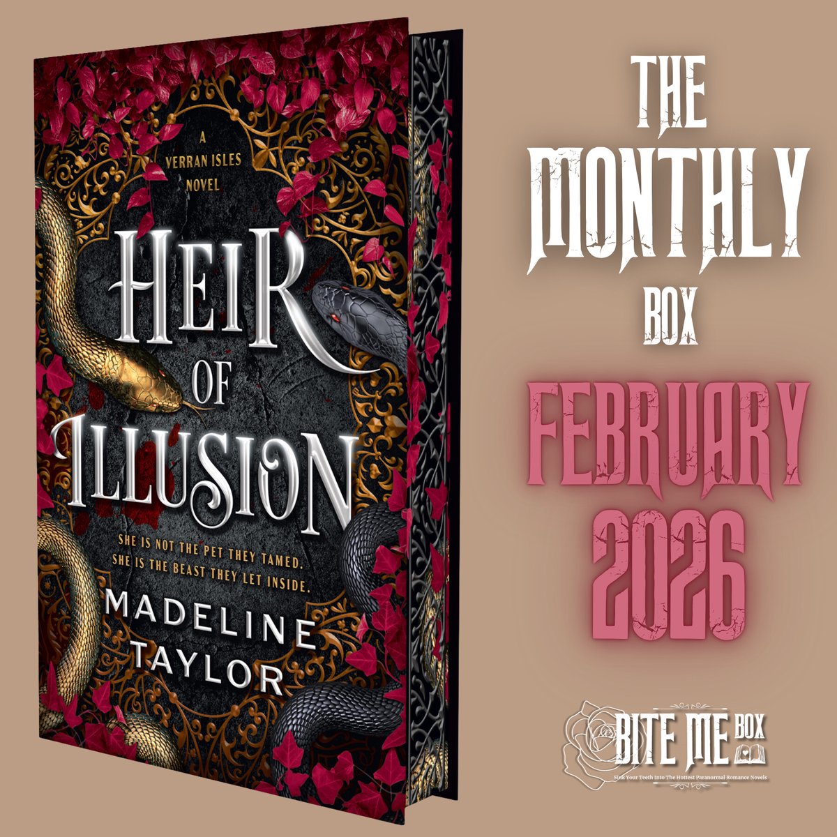 Shadow daddy. Assassin FMC. Zero mercy.

bitemebox.com/products/bite-…

#FebruaryBookBox #DarkRomantasy #EnemiesToLovers #FantasyRomanceReaders #BookBoxCommunity #FaeFantasy #ShadowDaddy