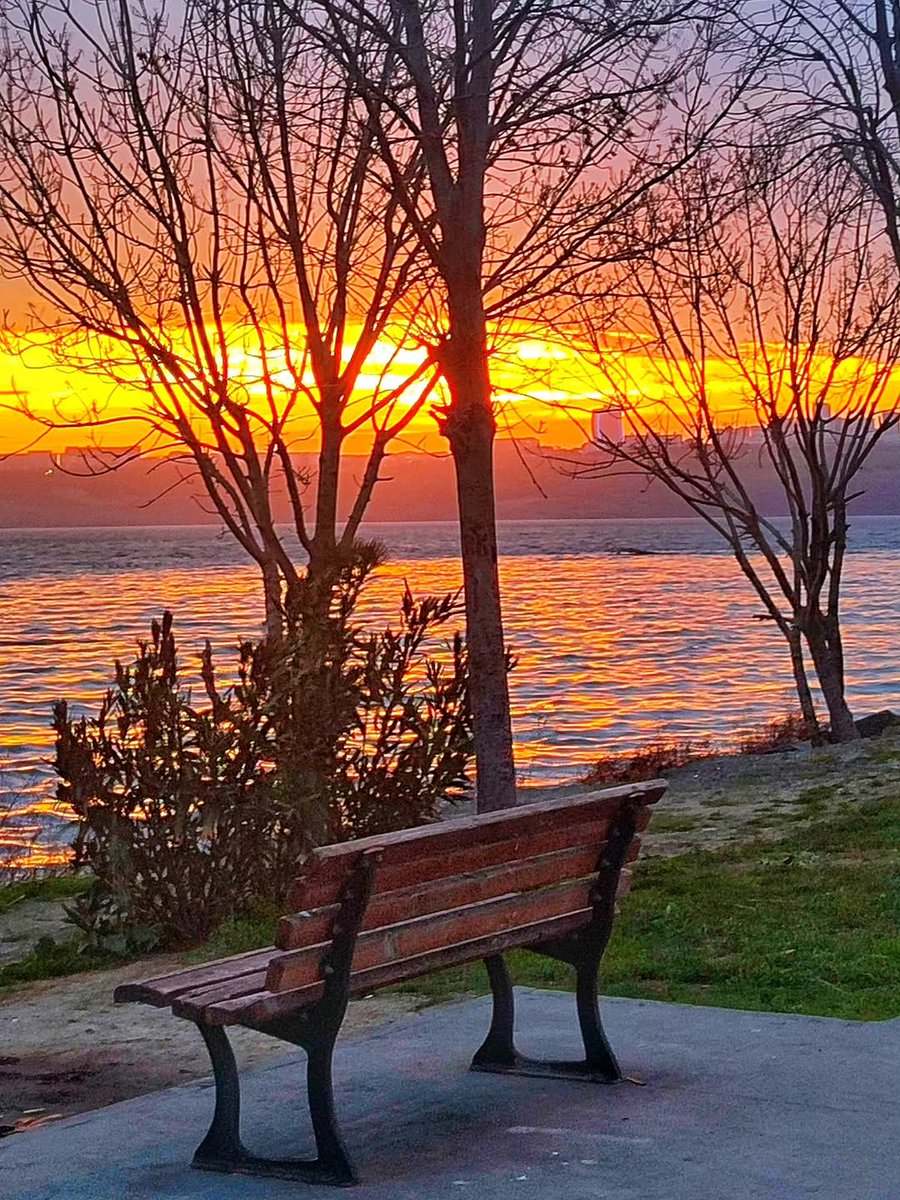 h_usto's tweet photo. Bazı vedalar sevgisizlikten değil, çaresizliktendir. https://t.co/luUpPGO6IN