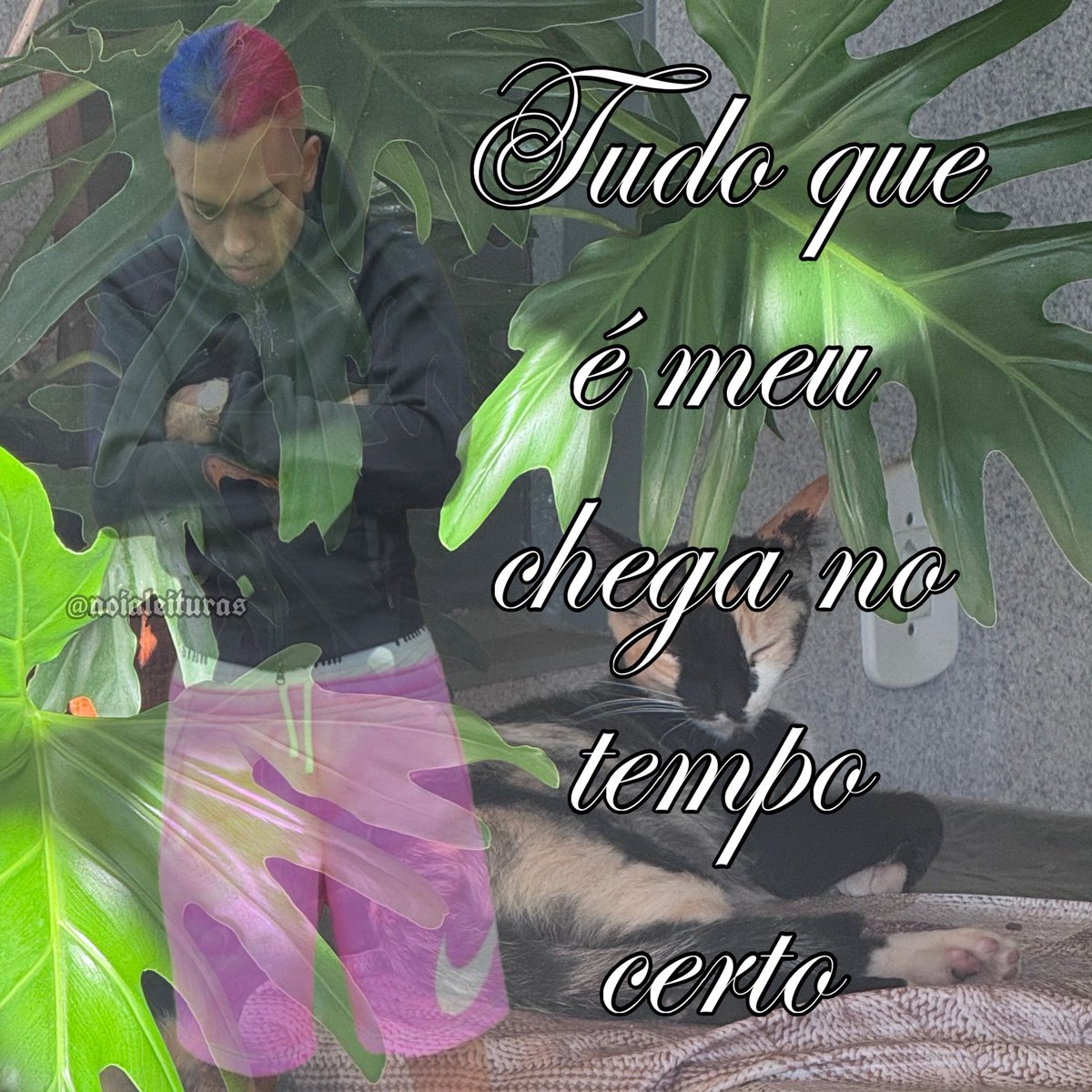 noialeituras's tweet image. 