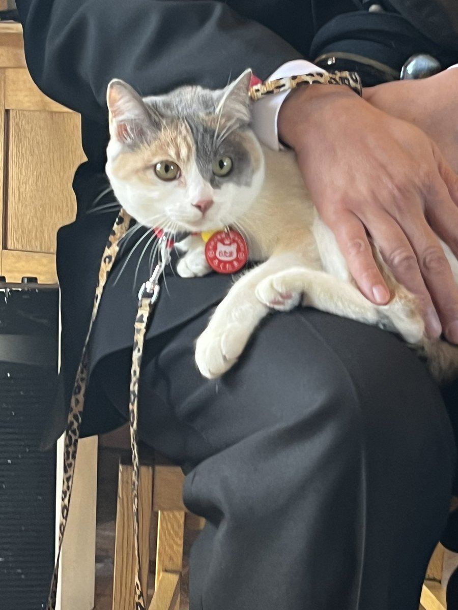 駅長たま (@ekichoTAMA) / Posts / X