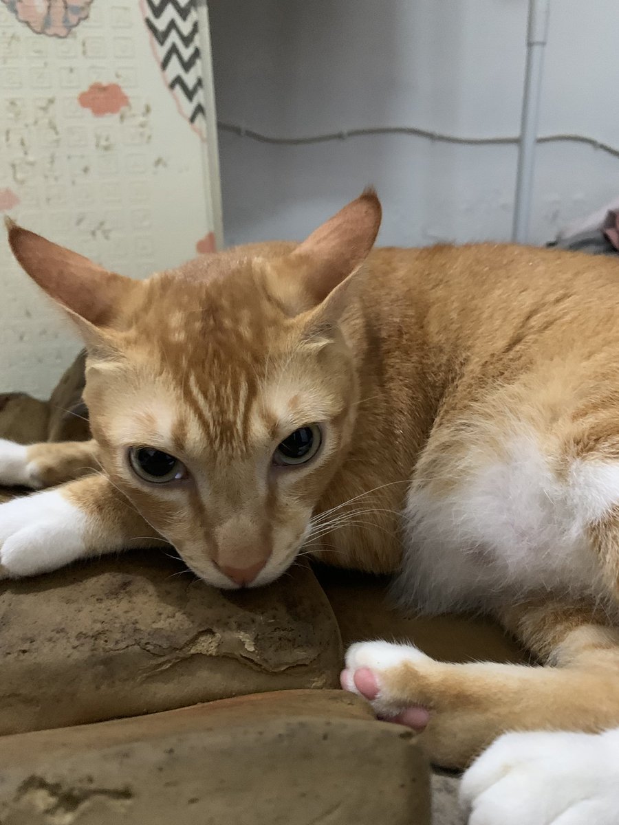 Diluar sedang hujan-hujannya ☔️