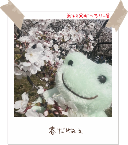 かえるのピクルス/pickles the frog (@picklesthefrog6) / Posts / X