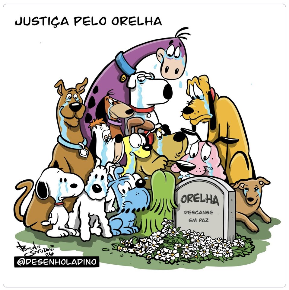 Pobre de Direita 🇧🇷 tweet media