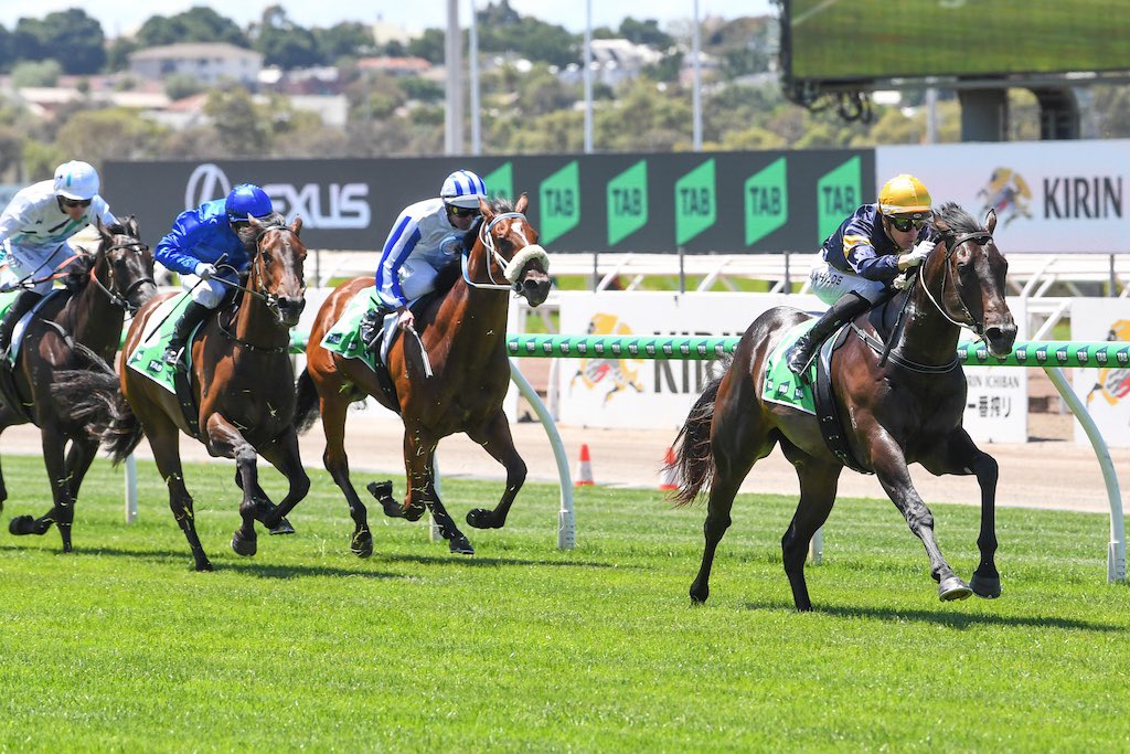 Racing Previews tweet media