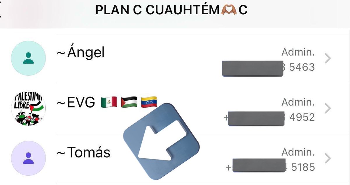 AlessandraRdlv's tweet image. Estimada Jefa de Gobierno @ClaraBrugadaM , he intentado contactarla sin éxito.

¿Está enterada de que su Secretario de Participación Ciudadana, Tomás Pliego, administra un chat desde el cual se pide (masivamente) difundir mentiras y se crean imágenes para denostarme e insultarme?