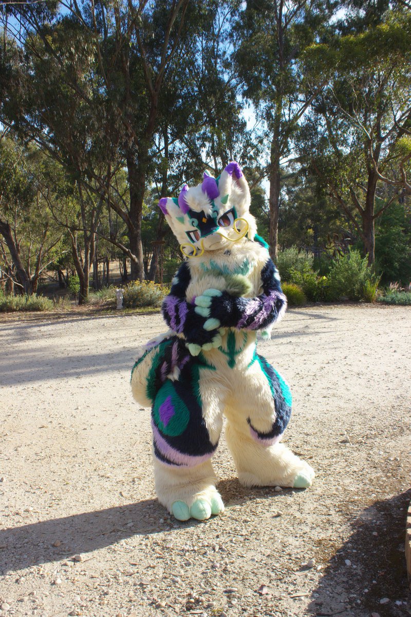 Zaylio/Ryko 🔜 FurDU, Megaplex(?) tweet media