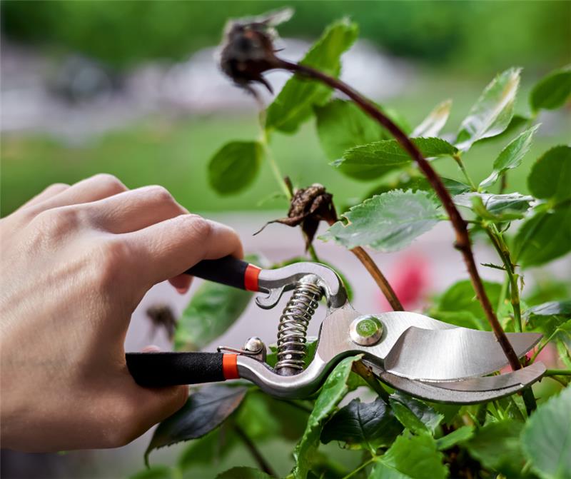 VI_Library tweet media