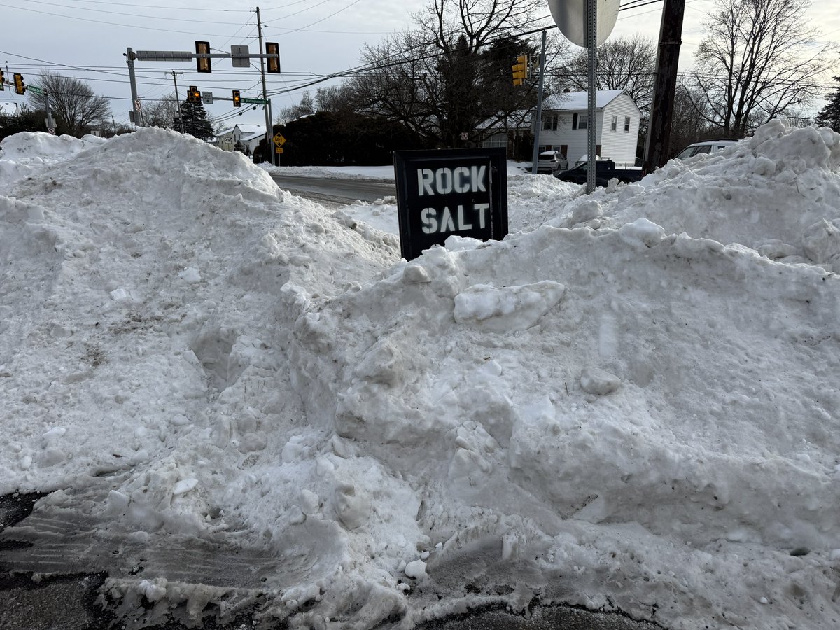 Madeleine Wright tweet media