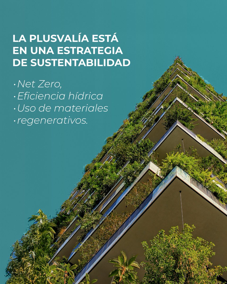 The Real Estate Show Mx tweet media