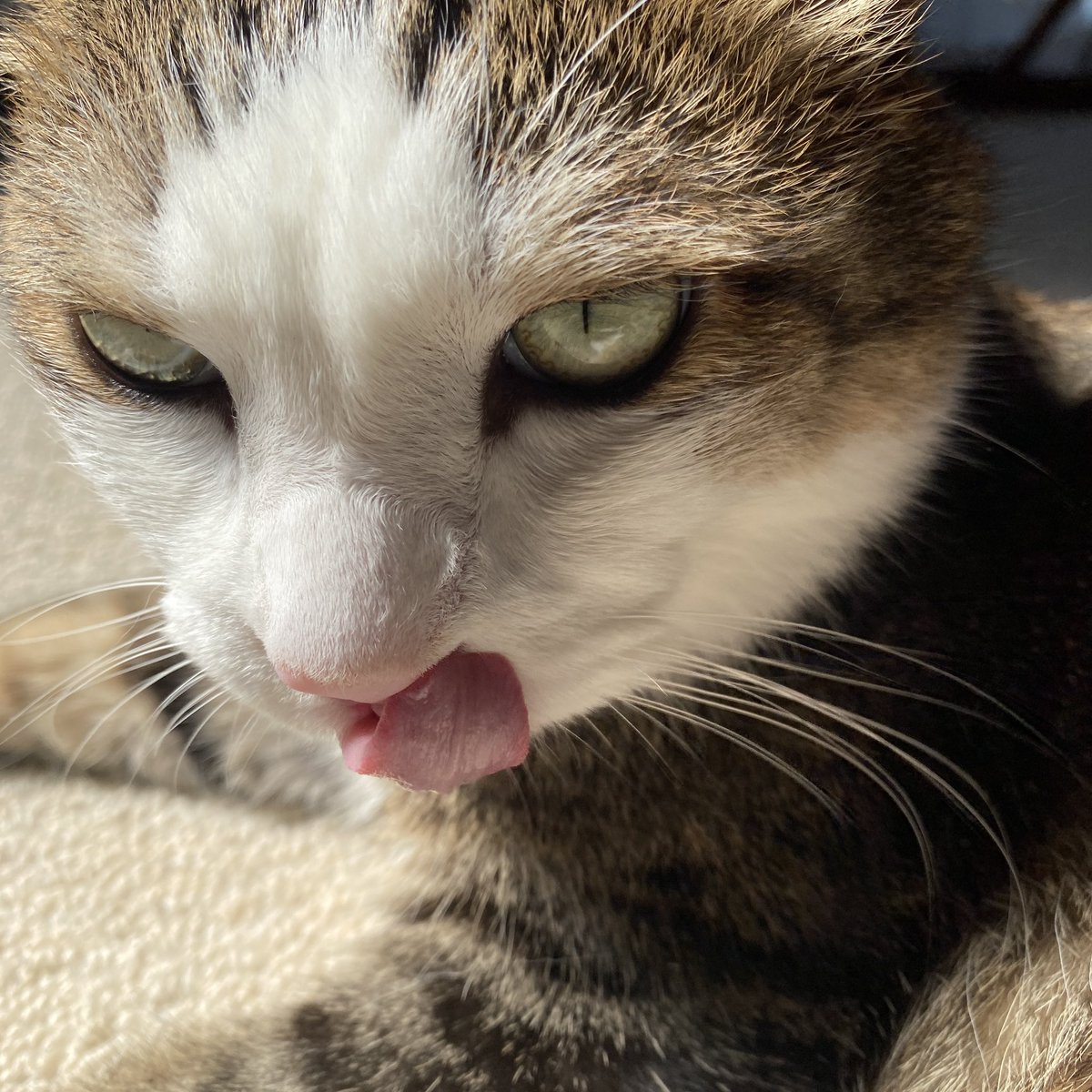 吉岡次郎 tweet media